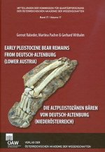 Soziale Strukturen