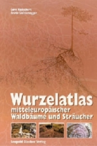 Wurzelatlas mitteleuropäischer Waldbäume und Sträucher