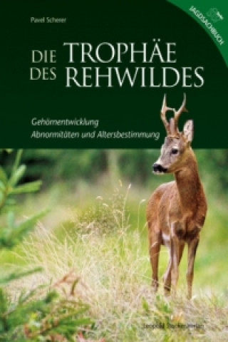 Die Trophäe des Rehwildes