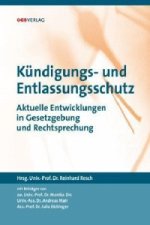 Kündigungs- und Entlassungsschutz