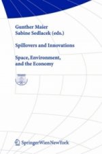 Spillovers and Innovations: City, Environment, and the Economy