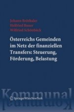Österreichs Gemeinden im Netz der finanziellen Transfers: Steuerung, Förderung, Belastung