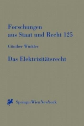 Das Elektrizitätsrecht