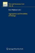Aggregation and Divisibility of Damage
