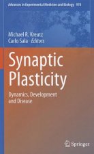 Synaptic Plasticity