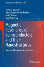 Magnetic Resonance of Semiconductors and Semiconductor Nanostructures