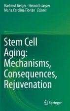 Stem Cell Aging: Mechanisms, Consequences, Rejuvenation