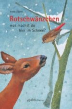 Rotschwänzchen was machst du hier im Schnee?
