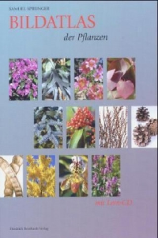 Bildatlas der Pflanzen, m. CD-ROM