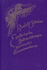 Esoterische Betrachtungen karmischer Zusammenhänge. Bd.4