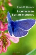 Lichtwesen Schmetterling