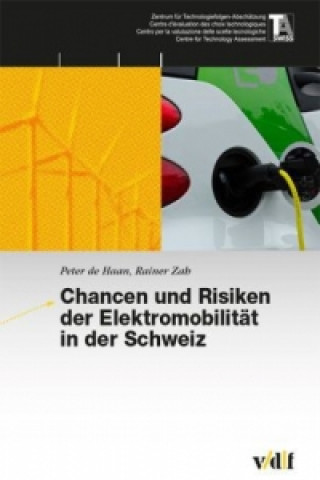 Chancen und Risiken der Elektromobilität in der Schweiz