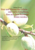 Sinn und Unsinn des Lebens - oder mein Entschluss, dass mir diese Bausteine fehlen werden...