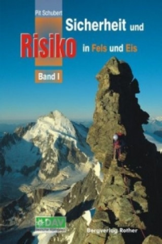 Sicherheit und Risiko in Fels und Eis. Bd.1
