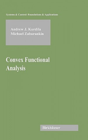 Convex Functional Analysis