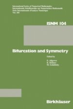 Bifurcation and Symmetry