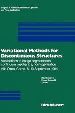 Variational Methods for Discontinuous Structures