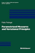 Parametrized Measures and Variational Principles