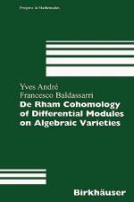 De Rham Cohomology of Differential Modules on Algebraic Varieties