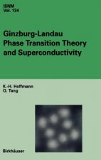 Ginzburg-Landau Phase Transition Theory and Superconductivity