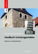 Handbuch Gr ndungssch den