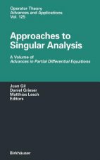 Approaches to Singular Analysis