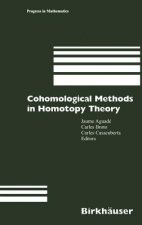 Cohomological Methods in Homotopy Theory