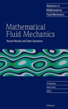 Mathematical Fluid Mechanics