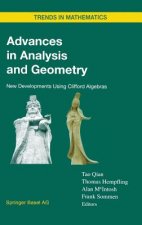 Advances in Analysis and Geometry