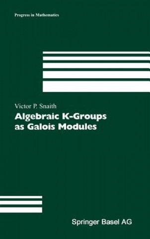 Algebraic K-Groups as Galois Modules