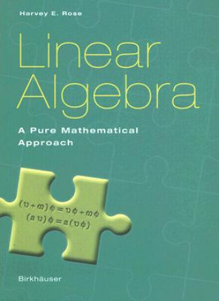 Linear Algebra (Harvey E. Rose)(Miękka)