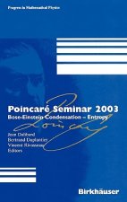 Poincare Seminar 2003