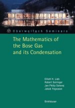 Mathematics of the Bose Gas and its Condensation