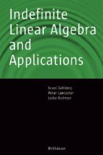 Indefinite Linear Algebra and Applications