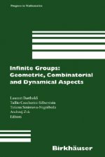 Infinite Groups: Geometric, Combinatorial and Dynamical Aspects