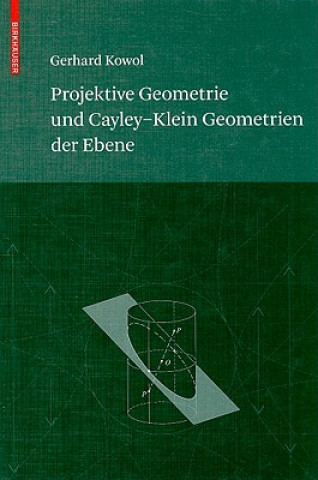 Projektive Geometrie und Cayley-Klein Geometrien der Ebene