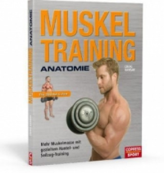 Muskeltraining Anatomie - Mehr Muskelmasse mit gezieltem Hantel- und Seilzug-Training