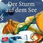 Der Sturm auf dem See