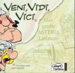 Veni, vidi, vici, Das große Asterix Latinum