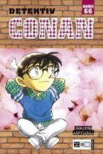 Detektiv Conan. Bd.66