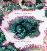Hannah Collins: The Fragile Feast: Routes to Ferran Adria