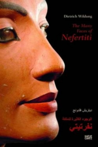 Many Faces of Nefertiti