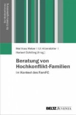 Beratung von Hochkonflikt-Familien