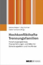 Hochkonflikthafte Trennungsfamilien