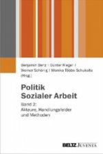 Politik Sozialer Arbeit. Bd.2