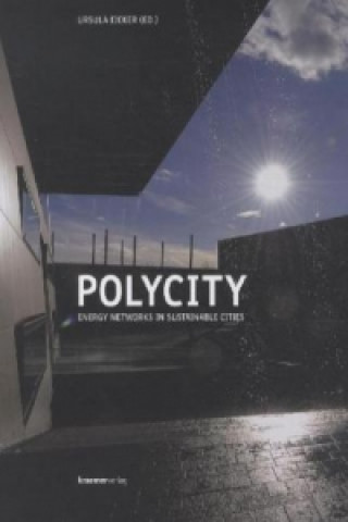 Polycity - Energy Networks in Sustainable Cities