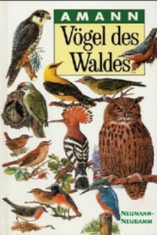 Vögel des Waldes