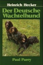 Der Deutsche Wachtelhund
