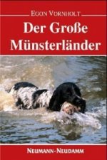 Der grosse Münsterländer