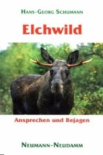 Elchwild
